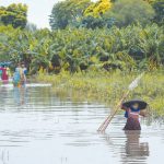 SBP sets higher Rs1.8tr agri credit target to help flood-hit farmers